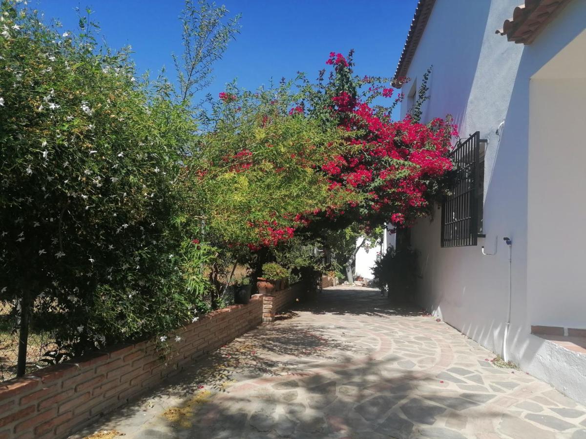 Casa Luis Villa Viñuela Exteriör bild
